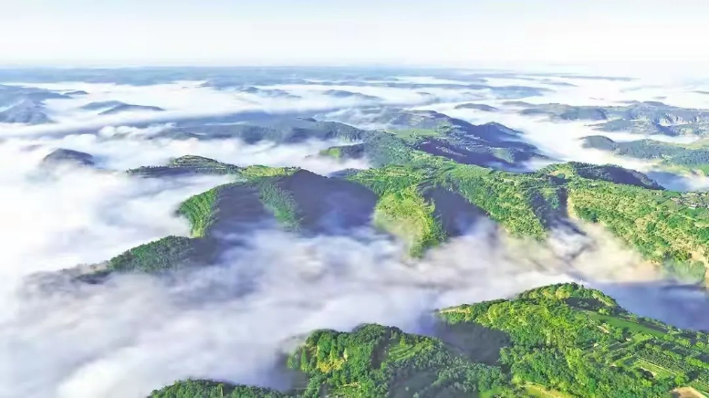 正宁:深耕林业碳汇资源 谱写绿色发展新篇