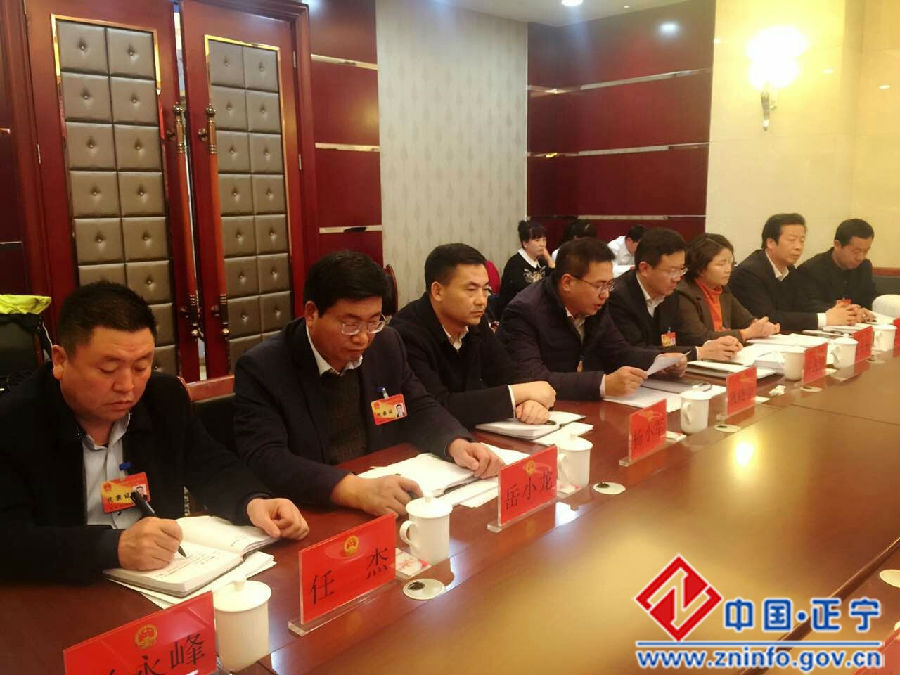 不负人民重托   积极建言献策