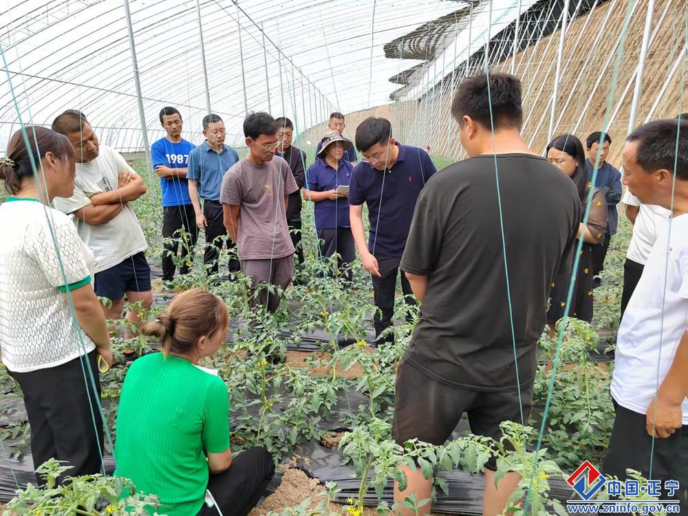 9496aef592e64732902c52fff4b05aec.jpg 9496aef592e64732902c52fff4b05aec.jpg