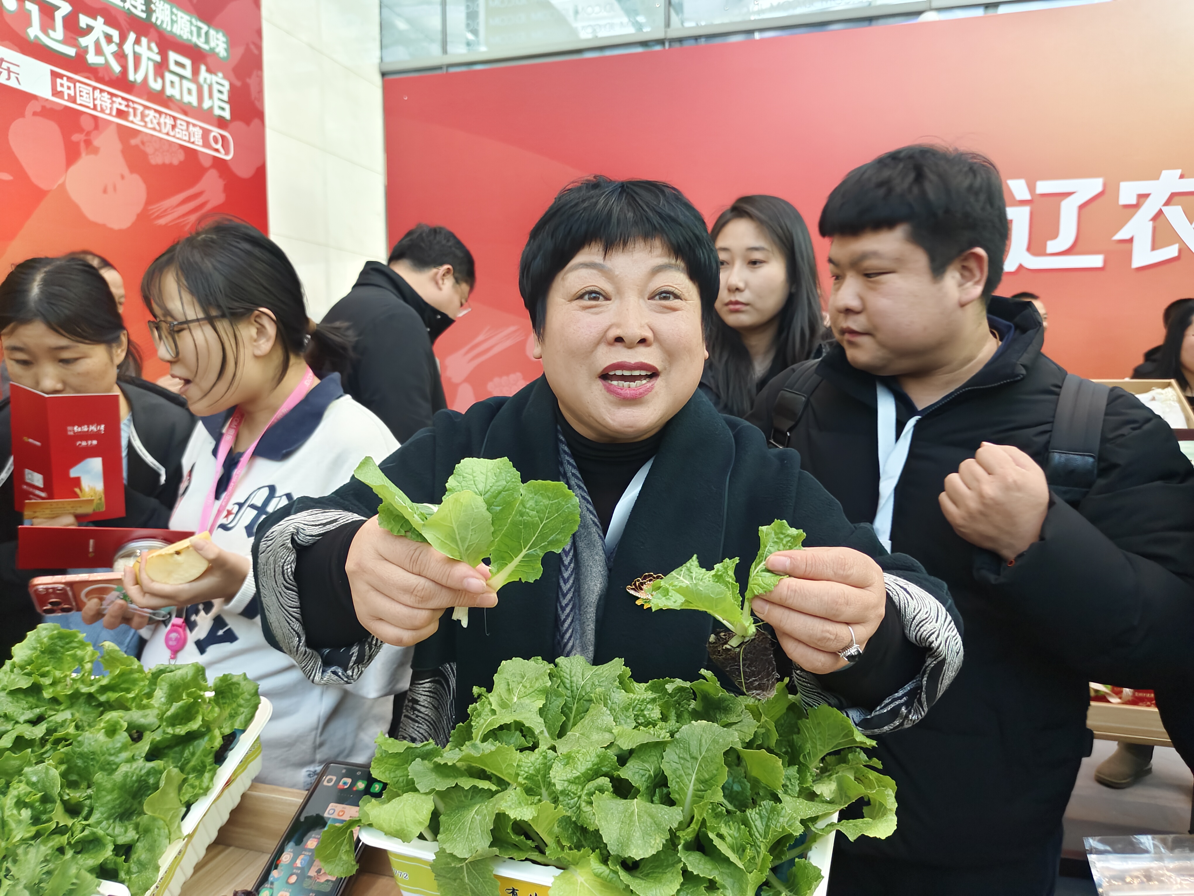 辽京农业合作全链协同启新篇 赋能区域发展畅通国内大循环——辽农优品 “京”彩纷呈