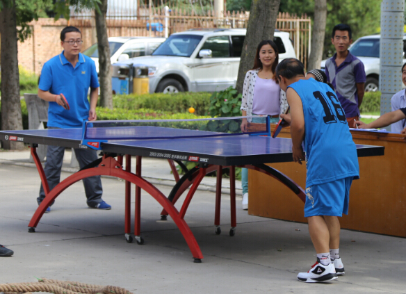 县政府机关秋季运动会精彩纷呈