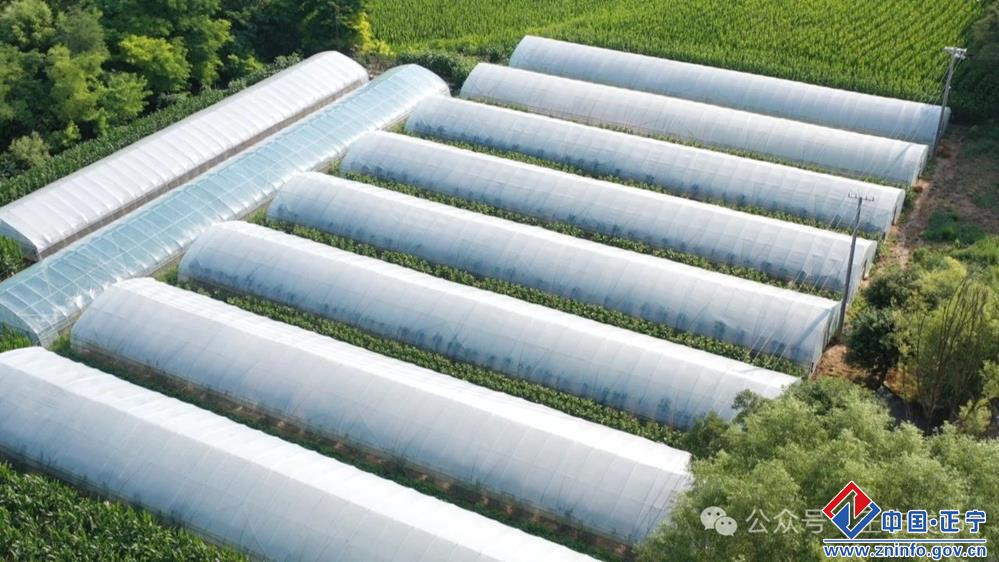 a32776f0114d43f79ba1ae913315bab1.jpg a32776f0114d43f79ba1ae913315bab1.jpg