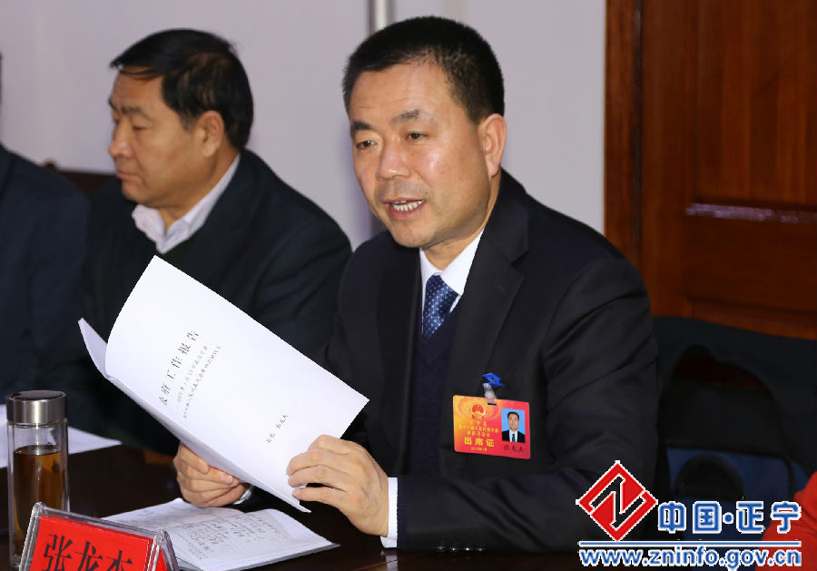 张县长1.jpg 张龙杰参加部分乡镇代表团审议活动