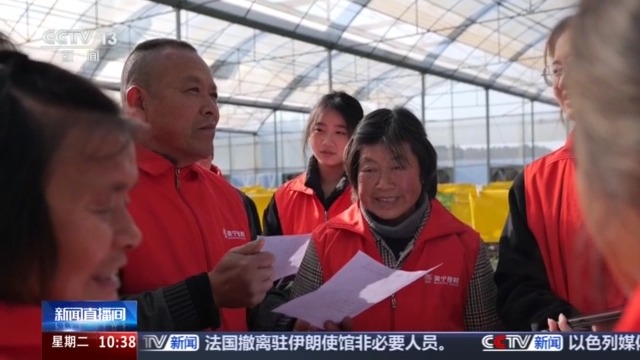 无人机植保+数字化管控 “00后种菜班”让智慧种菜成为田间日常