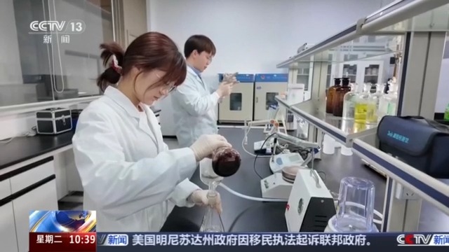 无人机植保+数字化管控 “00后种菜班”让智慧种菜成为田间日常