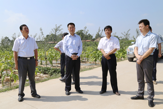 岳中锋一行督查正宁县民生实事办理情况