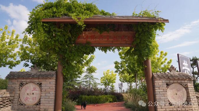 正宁县三嘉乡东庄村：政治协商激活乡村建设“新引擎”