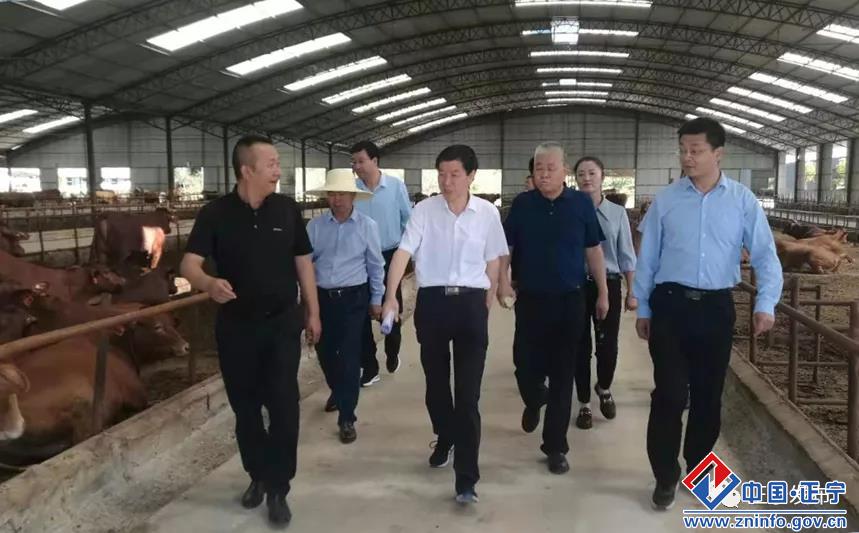 123c782ca52c47b6bd80bc2fa439ba76.jpg 123c782ca52c47b6bd80bc2fa439ba76.jpg