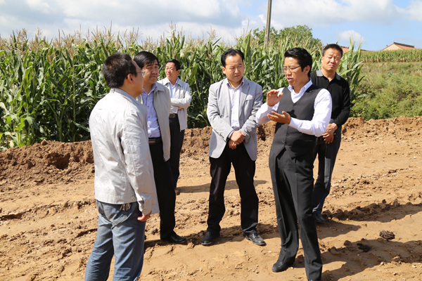 段登云、曹育铮督查调研南塬4乡镇农业农村重点工作