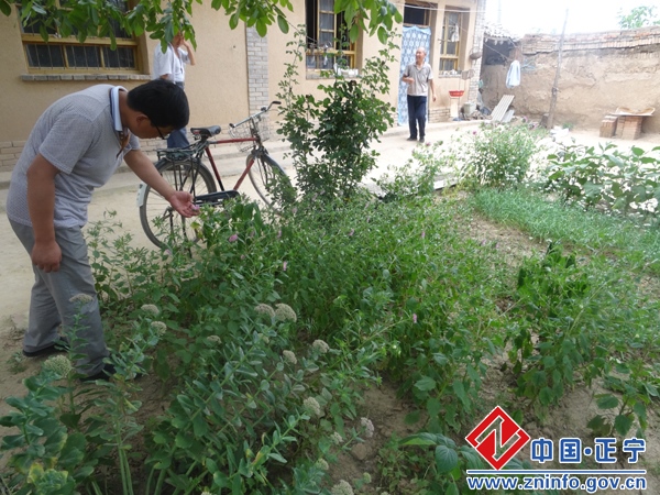 湫头镇开展踏查铲毒和禁毒宣传活动