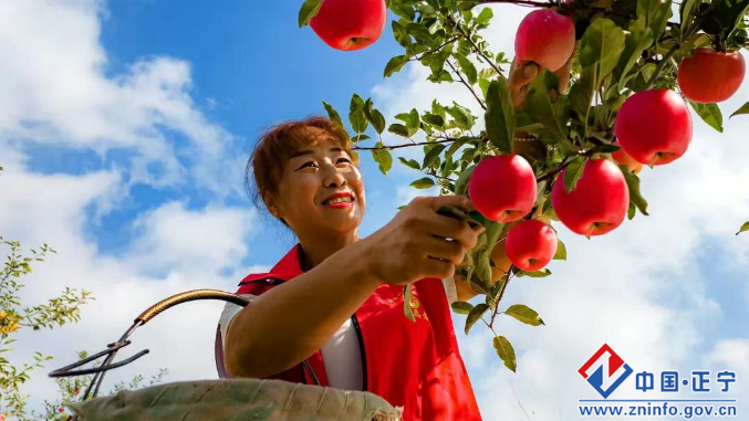 1653a09688c344a1a88b6b2a83959bf3.png 1653a09688c344a1a88b6b2a83959bf3.png