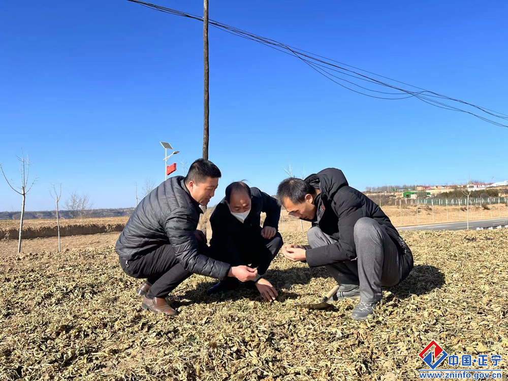 3462e736f27042df9bb7adb69c52b9c6.png 3462e736f27042df9bb7adb69c52b9c6.png