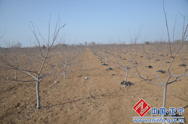 20150316050045283.jpg 段登云 曹育铮督查全县春季农业生产工作