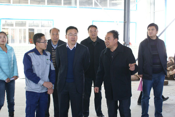 市委组织部督查调研指导正宁县基层党建工作