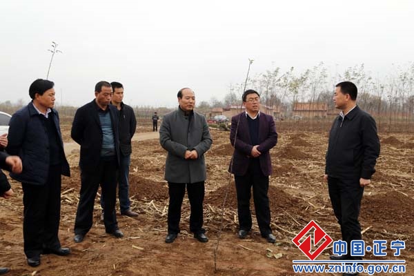 张龙杰督查栽果造林工作