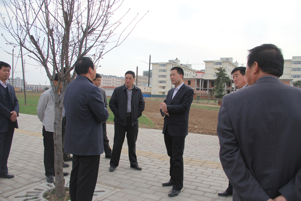 张龙杰督查县城重点项目建设