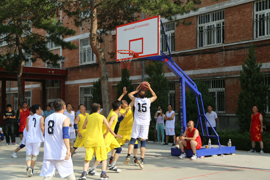 县政府机关秋季运动会赛场掠影