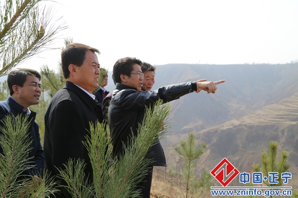 20160321092125650.jpg 段登云督查春季农业生产工作