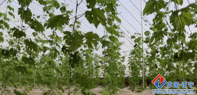 11bffab7884e4627840a0a9027f630f4.png 11bffab7884e4627840a0a9027f630f4.png