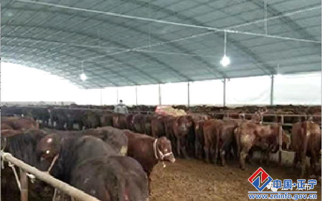 fbb3abd4b4eb4941bfb4dc5044e3ae4d.png fbb3abd4b4eb4941bfb4dc5044e3ae4d.png