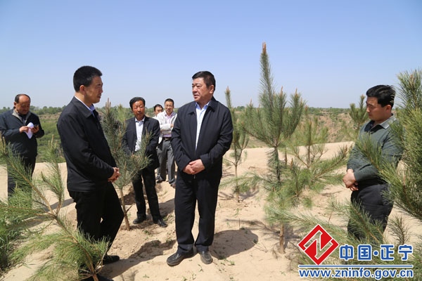 0462.jpg 张文礼来我县永正镇南住村调研双联工作