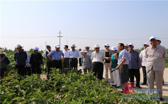 县委、县政府组织老干部代表观摩全县经济社会发展和重大项目建设