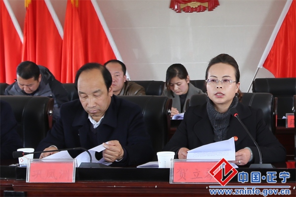 榆林子镇召开2017年经济工作会议