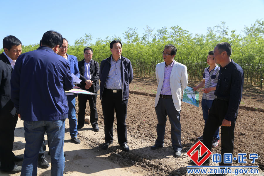 蔡文辉调研重点企业选址方案