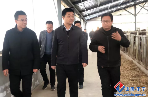 632377f330744c1cb0366753439c03c4.png 632377f330744c1cb0366753439c03c4.png