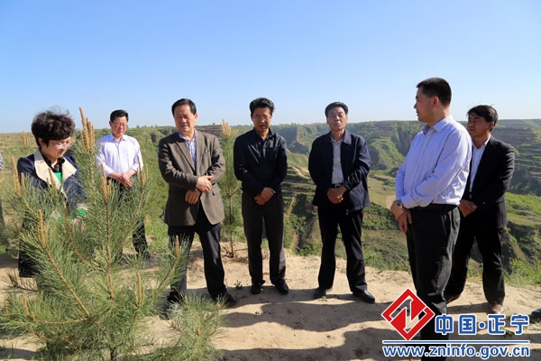 市人大常委会副主任王尧一行来我县督查重点工作及重大项目建设情况