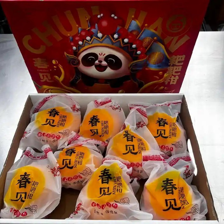 2026“显眼包”年货大盘点 你的购物车里有哪些