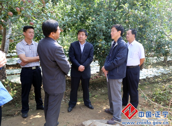 省级巩固退耕还林成果项目抽查复验组检查指导正宁工作