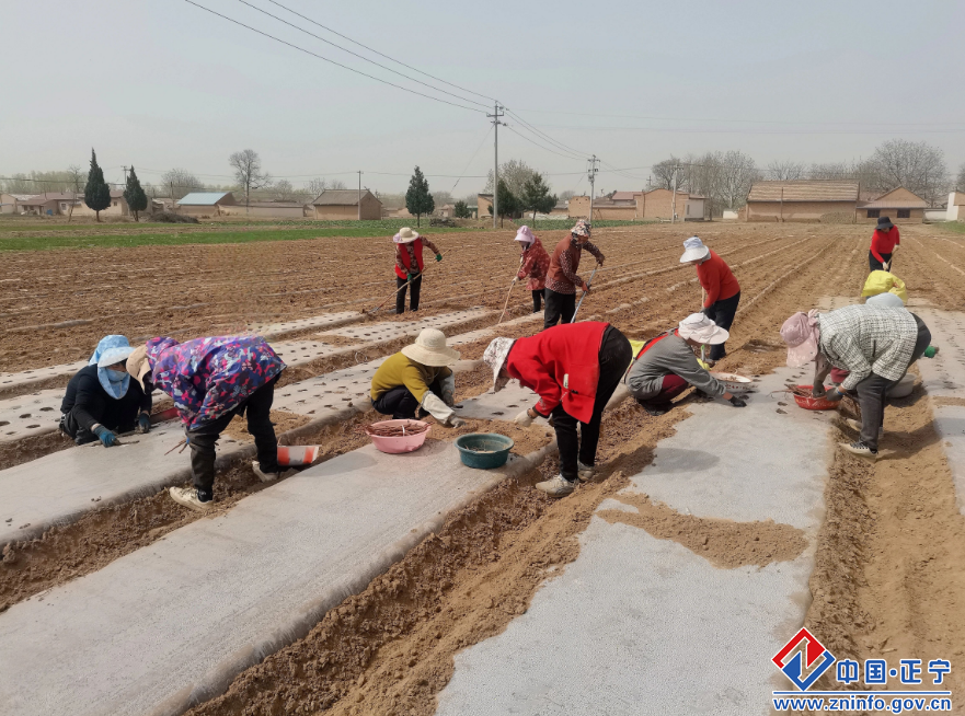 2864b9bbeb5041f08d8b7cfcc14fa135.png 2864b9bbeb5041f08d8b7cfcc14fa135.png