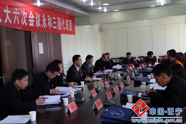 01.jpg 张龙杰参加永和三嘉代表团审议活动