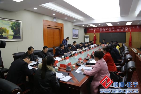 张龙杰在参加永和永正代表团讨论时强调： 发挥先锋引领作用 共建全面小康社会