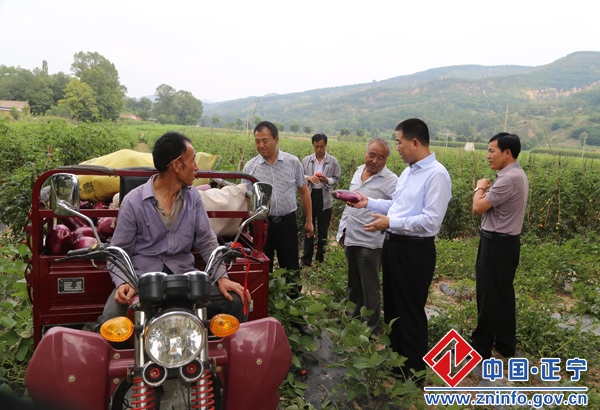 04.jpg 张龙杰督查调研川区蔬菜销售及烤烟收购工作