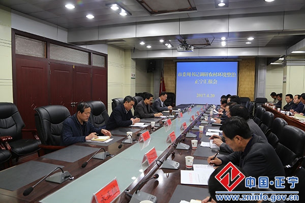 周普生调研正宁农村环境综合整治工作