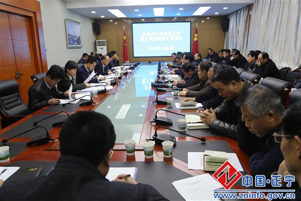 张龙杰主持召开2017年重点工作重点项目谋划汇报会议