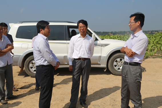 段登云、曹育铮督查调研秋季农业农村重点工作