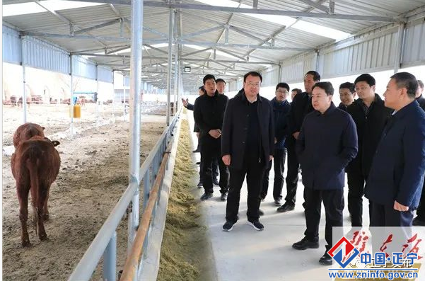 13eace24da0645c9ac6db0a1654caf97.png 13eace24da0645c9ac6db0a1654caf97.png