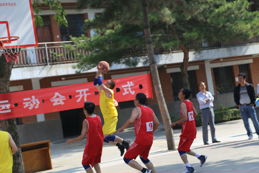 县政府机关秋季运动会赛场掠影