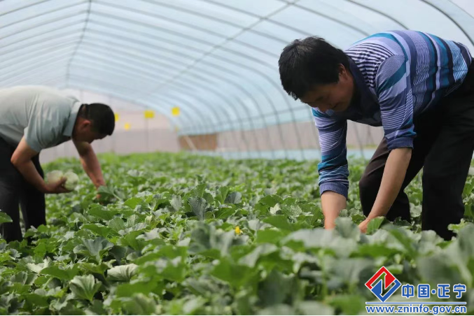 0f1ef99ae2f141468a1db3db71668af5.png 0f1ef99ae2f141468a1db3db71668af5.png