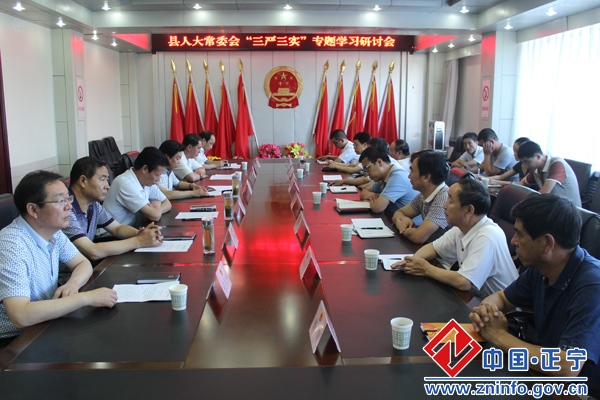 县人大常委会党组召开“三严三实”专题学习研讨会