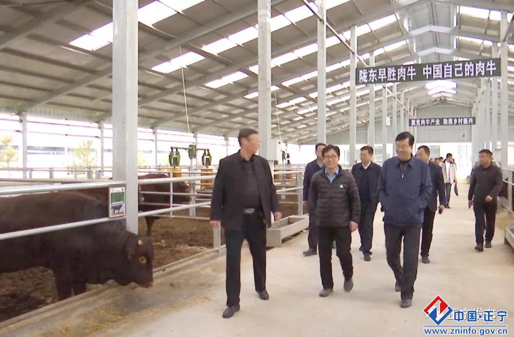 1620ca3c215b46ebb6940956b0fcbaac.jpg 1620ca3c215b46ebb6940956b0fcbaac.jpg