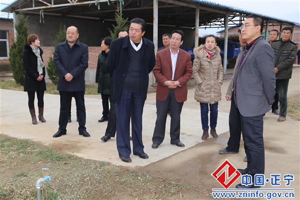 黄国锋调研五顷塬乡少数民族村产业发展情况