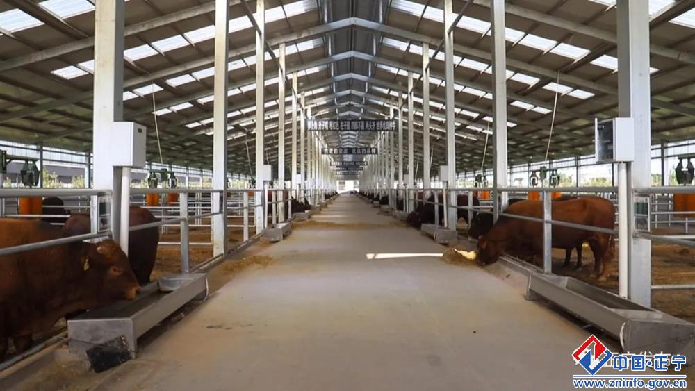 ee59d0bd649d498e951094fd55b7b1c3.jpg ee59d0bd649d498e951094fd55b7b1c3.jpg