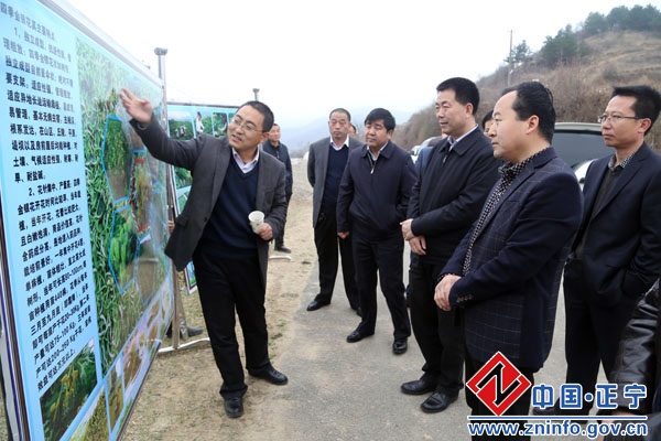 张龙杰调研督查南塬乡镇春季农业生产工作