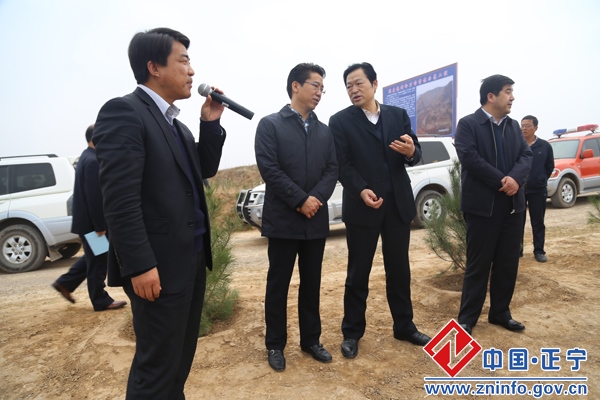 20150401113029279.jpg 樊德民带队观摩我县苗林结合培育工作