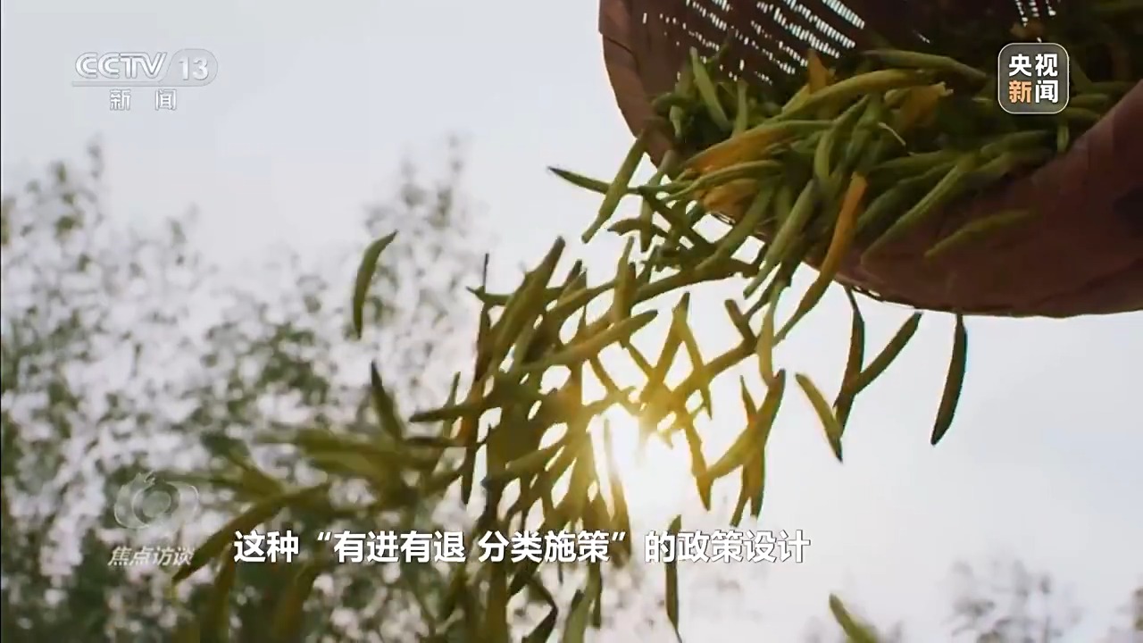 让一亿人稳定脱贫 中国有独特的“方法论”