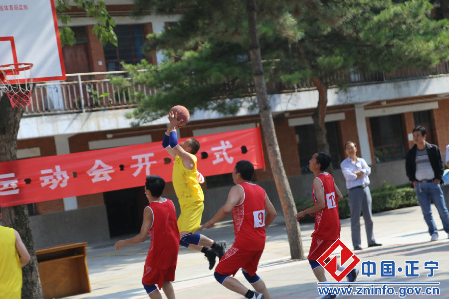 县政府机关秋季运动会精彩集锦